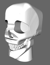 skull pinshape 3d print model - Mito3D