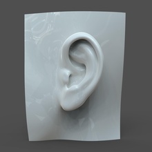 realistico donna orecchio modello f1p1d0v1ear pinshape sesso femminile umana 3d print model - Mito3D