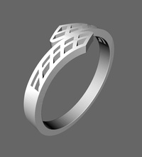 ring pinshape ring- 3d print model - Mito3D