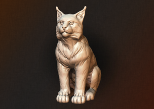 lynx yavru kedi pinshape küçük oturup konuşmak hareketsiz oturuyor puma memeli Kaplan heykel trot pet kit kitty jaguar cougar bobcat panter yavrusu 3d print model - Mito3D