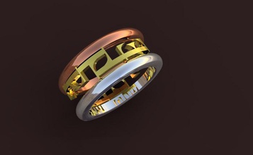 elle anel pinshape jóias design contest 3d print model - Mito3D