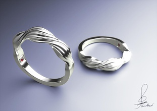 plait anneau pinshape bijoux design concours france paris d'argent l'anneau 3d print model - Mito3D