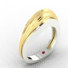 or veine anneau pinshape shining3d mode concours l'anneau blanc temps bijoux design 3d print model - Mito3D