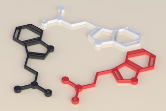dmt molekülü küpeler pinshape neclace molekül küpe dimethyltryptamine 3d print model - Mito3D