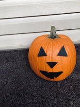 mr pumpkin head halloween jack lantern face pinshape pumpkin-decoration halloween-fun kids-craft pumpkin-carving jac-o-lantern 3d print model - Mito3D