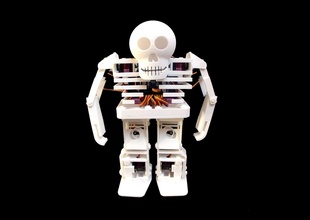 ossa robot umanoide pinshape scheletro cadavere halloween arduino bipede Stampato in 3d 3d print model - Mito3D