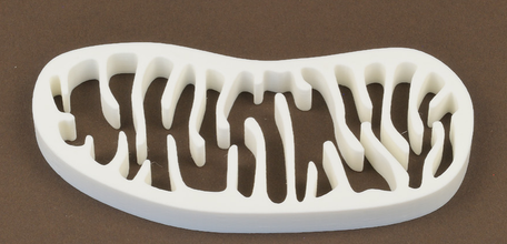 mitochondria pinshape biology school education- 3d print model - Mito3D