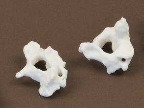 insan servikal vertebra pinshape anatomi biyoloji eğitim omurga okul aıds araçları 3d print model - Mito3D