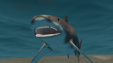 tigershark pinshape oceano sealife shark pesce 3d print model - Mito3D