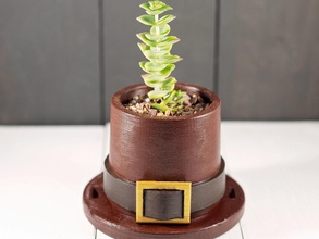 Hacı ekici pinshape şapka kapalı bahçe succulentsplanters etli succulents saksılar kaktüs kaktüsler 3d print model - Mito3D