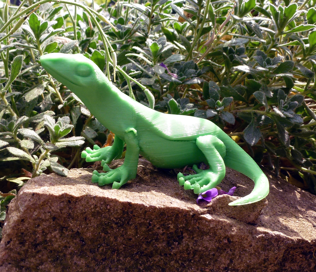 lizard pinshape reptile cute animal 3D print model - Mito3D