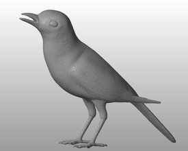 white wagtail pinshape realistic miniature statue animal bird 3d print model - Mito3D