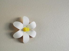 flor push pin pinshape parede stick office design 3d print model - Mito3D