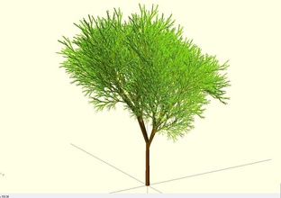 completamente casuale albero pinshape ricorsiva casualità naturale customizer 3d print model - Mito3D