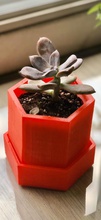planter pinshape planters 3d print model - Mito3D