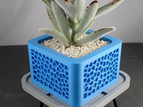voronoi plantador forma alfiler diseño cactus macetas suculentas suculento plantas planta maceta jardineras 3d print model - Mito3D