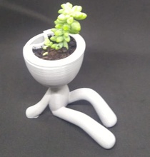 self-watering succulent planter - seated pinshape vase decoration self-watering-planter garden 3d print model - Mito3D