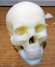 crânio pinshape humano humanos morte osso 3d print model - Mito3D