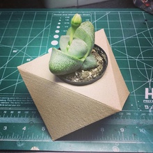 geometric planter pinshape succulents pot indoor gardening garden flower cactus 3d print model - Mito3D