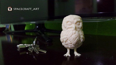 owl pinshape cute animal 3d print model - Mito3D