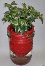 mason jar self-watering planter pinshape watering flower pot desk desktop deskplant 3d print model - Mito3D