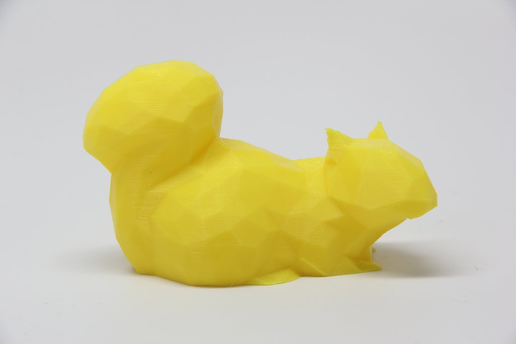 poly squirrel pinshape multi faceted animal 3D print model - Mito3D