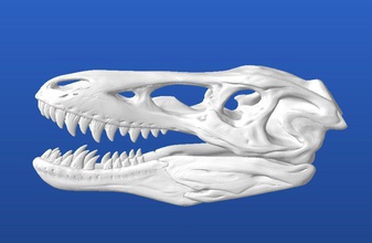 pinocchio rex qianzhousaurus sinensis pinshape trexremix prex 3d print model - Mito3D