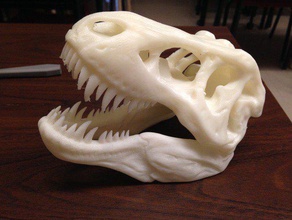 t rex crânio pinshape 3d design 3d print model - Mito3D