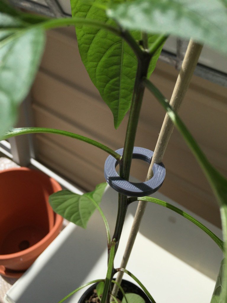 plant support guide pinshape windscreen holder garden 3D print model - Mito3D