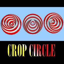 crop circle pinshape ritagliare cerchio 3d print model - Mito3D