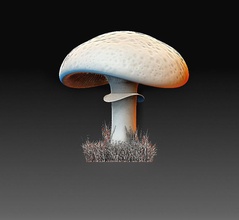 cogumelo printable model personagens natureza 3d print model - Mito3D