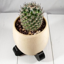 moderne désert planteur cactus succulent planter jardinières succulentes plante 3d print model - Mito3D