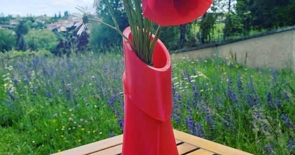 tranché vase chavant fou 3d Télécharger libre stl modèle imprimablescom modèles Ménage maison équipement fleurs 3d print model - Mito3D