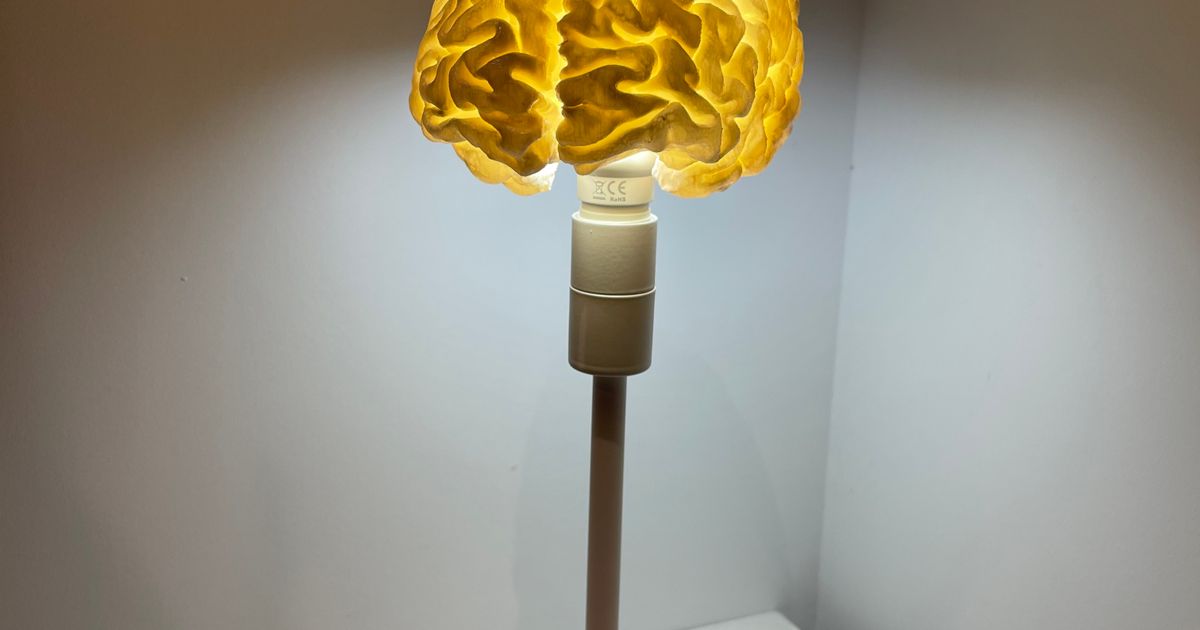 human brain led rgb desk lamp bastien download free stl model printablescom 3d models art & design designs 3D print model - Mito3D