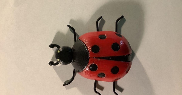 ladybug billv download free stl model printablescom 3d models art & design sculptures 3d print model - Mito3D