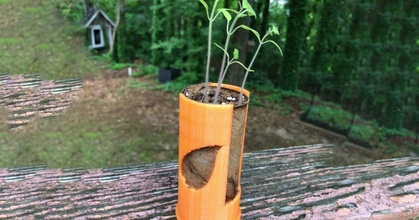 seme antipasto Erica Scarica gratuito stl modello printablescom 3d Modelli domestico all'aperto giardino fiore giardinaggio riciclare semi 3d print model - Mito3D