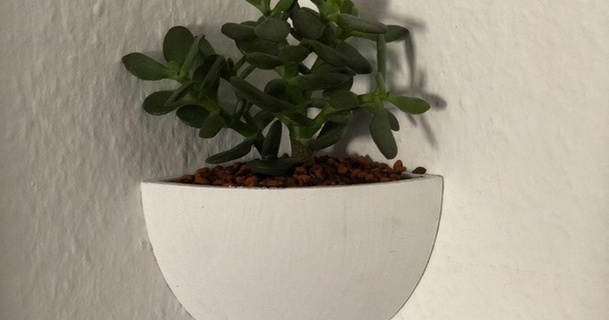 planter pot wall corner mcsimilian download free stl model printablescom 3d models household decor cactus succulent 3d print model - Mito3D