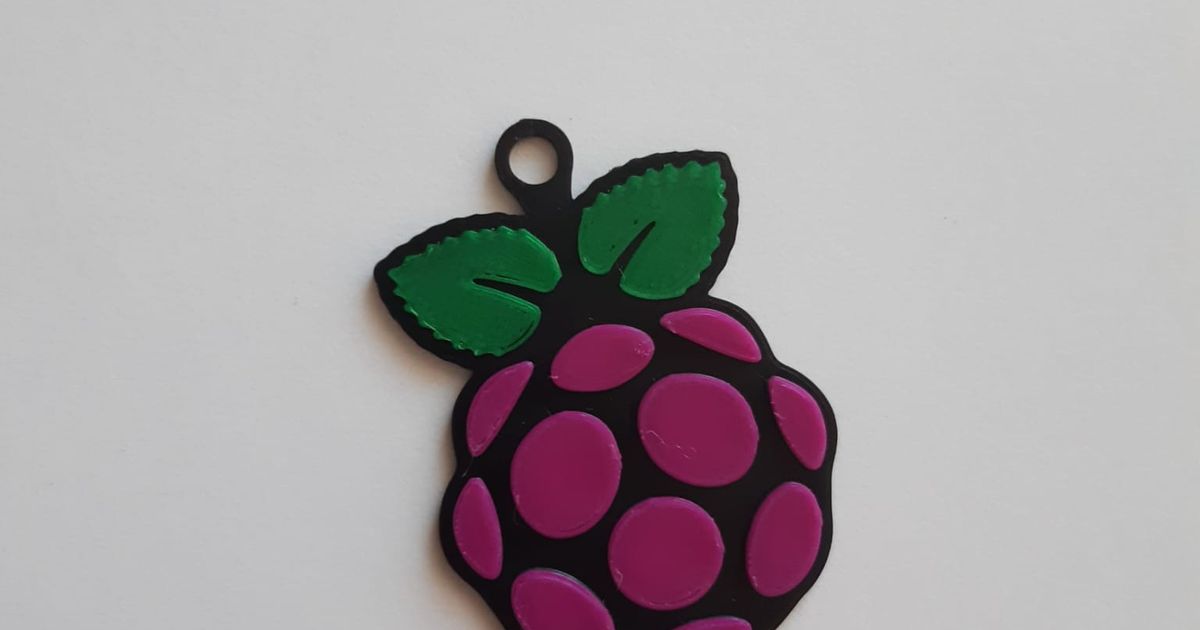 lampone pi portachiavi vincitore francia Scarica gratuito stl modello printablescom 3d Modelli passatempo creatori elettronica 3dkeychain 3dkeychains chiave 3D print model - Mito3D