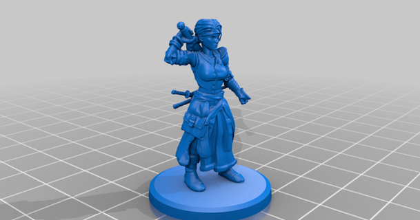 female pirates - pirate penny williamdecker88 download free stl model printablescom 3d models toys & games outdoor 25mm dnd dndminiature dungeonsanddragons femalemini 3d print model - Mito3D