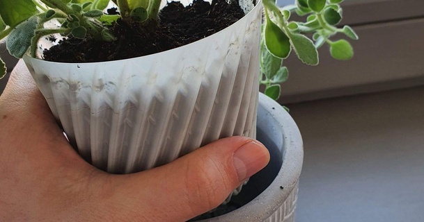 groove spiral vase pot insert yourigh download free stl model printablescom 3d models household outdoor & garden plant plating 3d print model - Mito3D