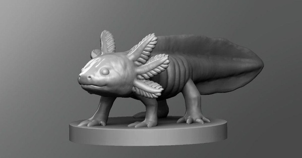 axolotl schlossbauer Scarica gratuito stl modello printablescom 3d Modelli giocattoli Giochi all'aperto dnd Dungeons and Dragons tavolo 3d print model - Mito3D