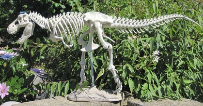 t-rex skeleton clivebradshaw download free stl model printablescom 3d models art & design sculptures 3d print model - Mito3D