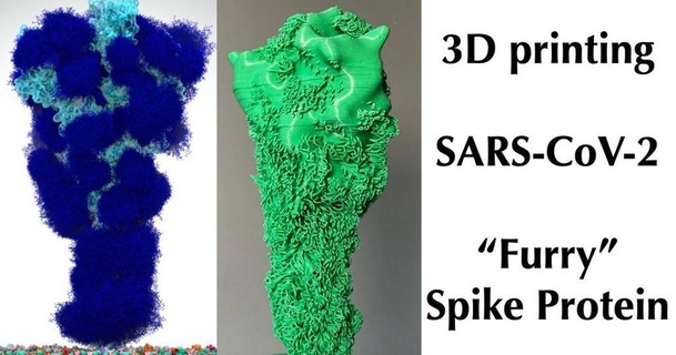 sars-cov-2 coronavirus furry spike protein vsaggiomo download free stl model printablescom 3d models learning chemistry & biology 3d print model - Mito3D