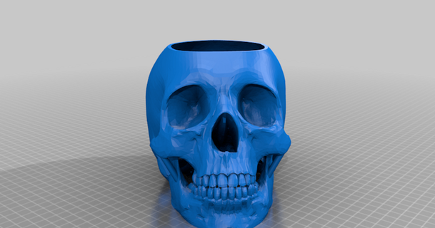 humano cráneo maceta drenaje agujero laleahtortilla descargar gratis stl modelo imprimiblescom 3d modelos casa equipo 3d print model - Mito3D