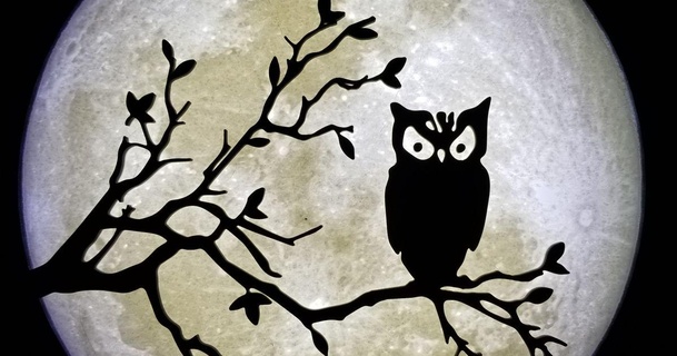 owl branch silhouetted moon lithophane jon download free stl model printablescom 3d models art & design 2d plates logos 3d print model - Mito3D