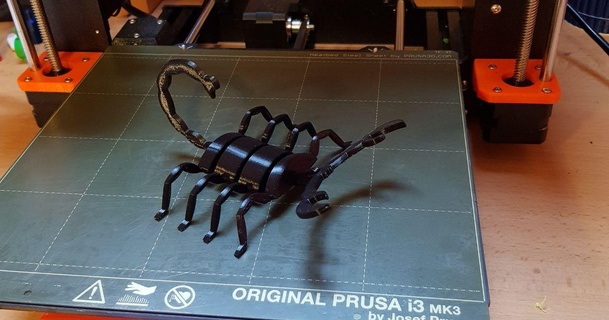 3d rompecabezas Escorpión planeta13 descargar gratis stl modelo imprimiblescom modelos juguetes juegos brain teasers 3d print model - Mito3D