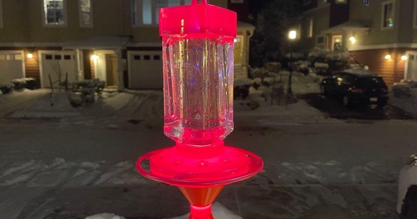 hummingbird feeder heater - frozen darak download free stl model printablescom 3d models household pets 3d print model - Mito3D