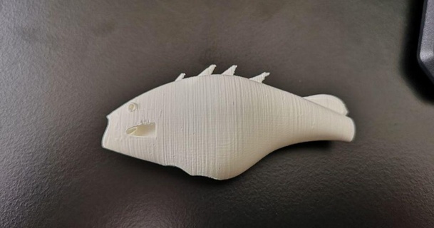 pesca adescare fabian Scarica gratuito stl modello printablescom 3d Modelli passatempo creatori idee esca per pescare 3d print model - Mito3D