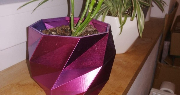poli pianta pentola 3d hummel Scarica gratuito stl modello printablescom Modelli domestico arredamento vaso fiori fioriere lowpoly 3d print model - Mito3D