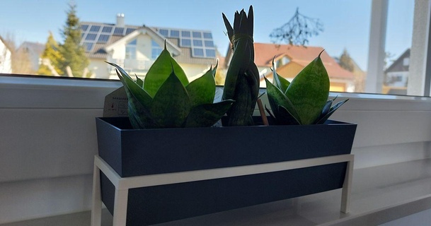 vaso planta plantar Panela cuidado 347 baixar livre stl modelo printablescom 3d modelos casa decoração plantas interior 3d print model - Mito3D